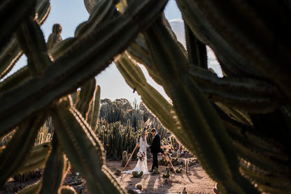 Cactus Country Elopement